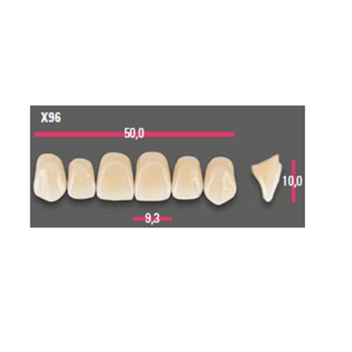 Vitapan Anterior Shade D2 Upper Mould X96 Set 6