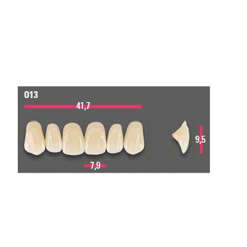 Vitapan Anterior Shade D3 Upper Mould O13 Set 6
