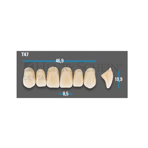 Vitapan Plus Anterior Shade D3 Upper Mould T47 Set 6