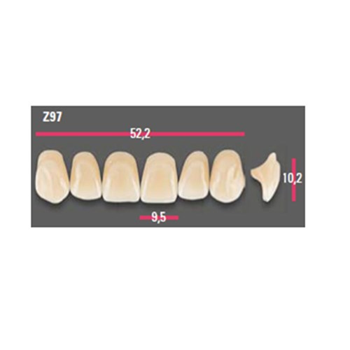 Vitapan Anterior Shade D3 Upper Mould Z97 Set 6