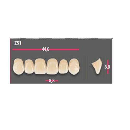 Vitapan Anterior Shade D4 Upper Mould Z51 Set 6