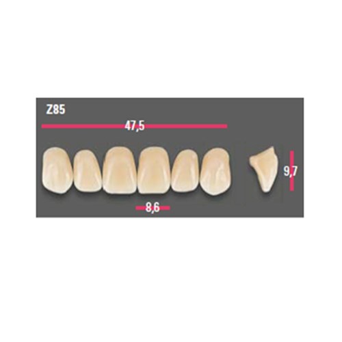 Vitapan Anterior Shade D4 Upper Mould Z85 Set 6