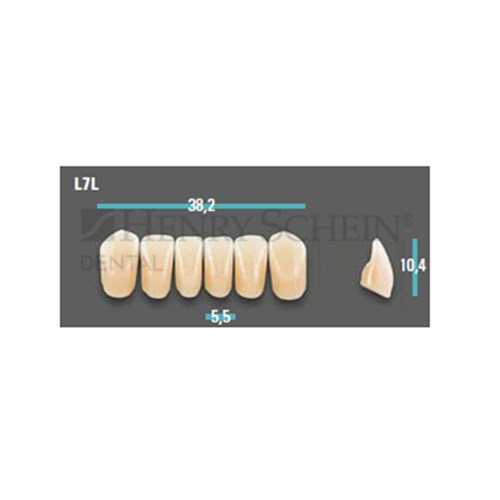 Physiodens Anterior Shade A1 Lower Mould L7L Set 6