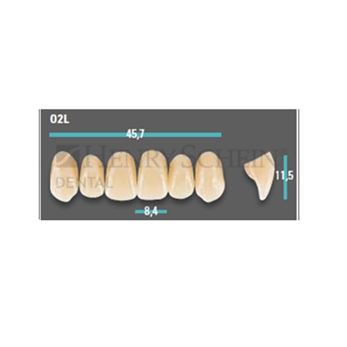 Physiodens Anterior Shade A1 Upper Mould O2L Set 6