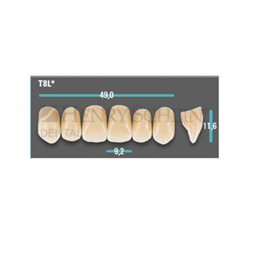 Physiodens Anterior Shade A1 Upper Mould T8L Set 6