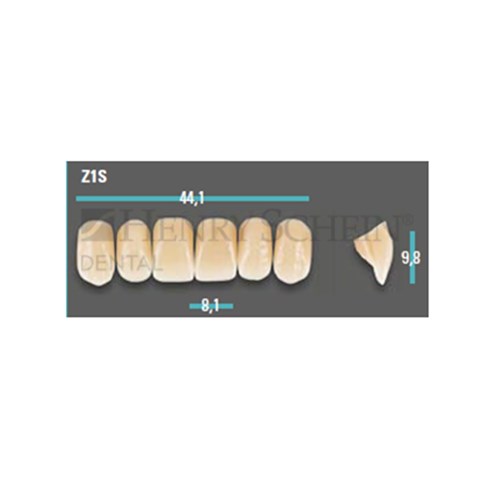 Physiodens Anterior Shade A1 Upper Mould Z1S Set 6