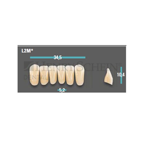 Physiodens Anterior Shade A2 Lower Mould L2M Set 6