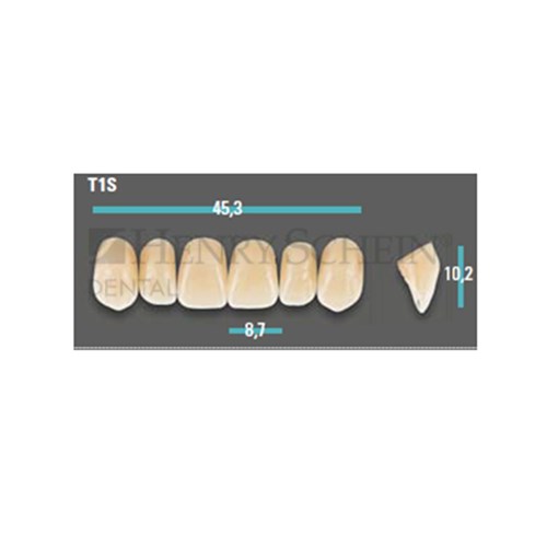 Physiodens Anterior Shade A2 Upper Mould T1S Set 6