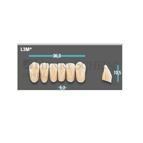 Physiodens Anterior Shade A3 Lower Mould L3M Set 6