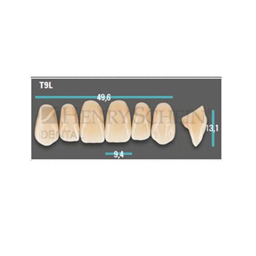 Physiodens Anterior Shade A3 Upper Mould T9L Set 6