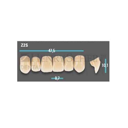 Physiodens Anterior Shade A3 Upper Mould Z2S Set 6