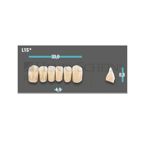 Physiodens Anterior Shade B4 Lower Mould L1S Set 6