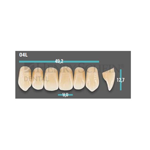 Physiodens Anterior Shade C3 Upper Mould O4L Set 6