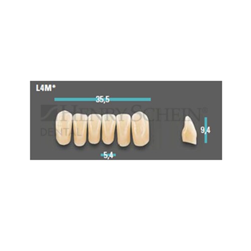 Physiodens Anterior Shade D3 Lower Mould L4M Set 6