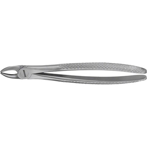 FORCEP 39 UPPER MOLAR /EA