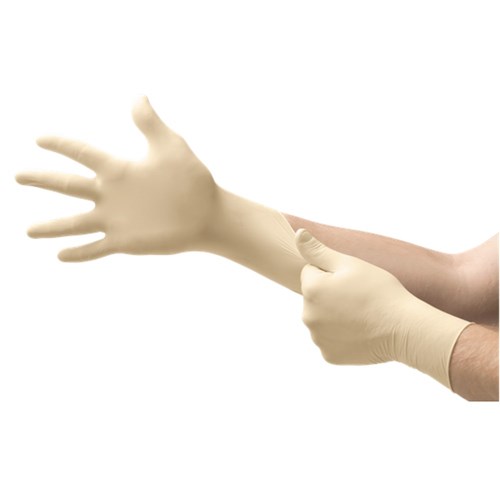 Denta-Glove Powder Free Non Sterile Latex M box 100