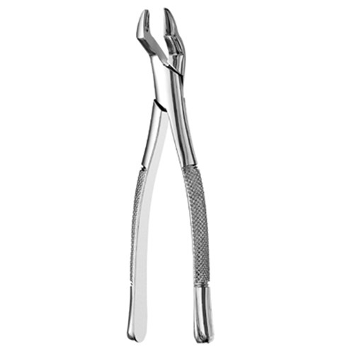 Forceps #10S