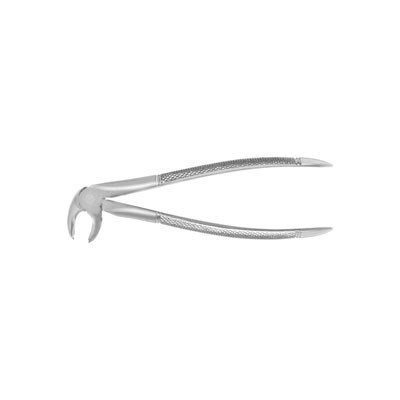 European Style Forceps #22 Lower