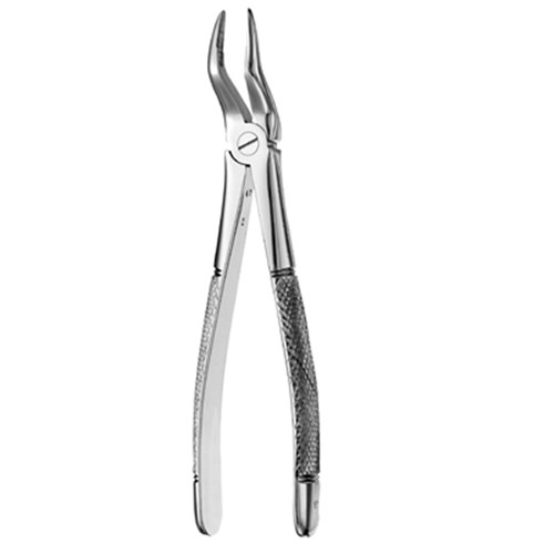 European Style Root Forceps #51 Upper Serrated