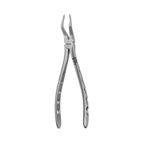 Root Forceps #51