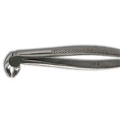 Henry Schein Forceps EF13 Lower Bicuspid/Cuspid ea