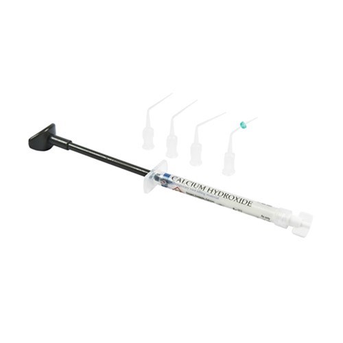 Henry Schein Calcium Hydroxide 2g Syringe with 20 Tips