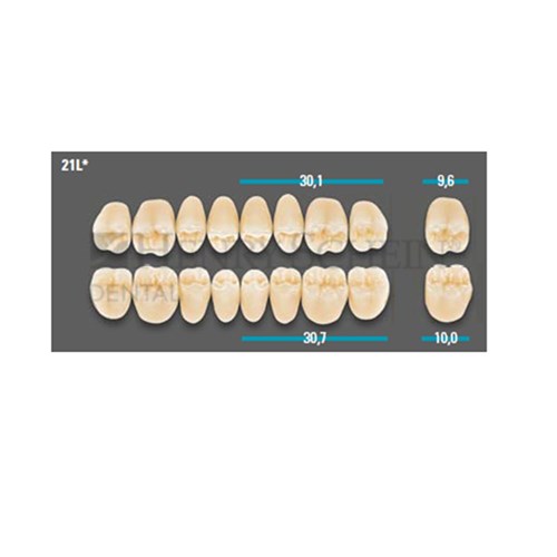 VITA Lingoform Lower Posterior Shade A4 Mould 21L Classical