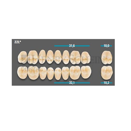 VITA Lingoform Lower Posterior Shade A4 Mould 22L Classical