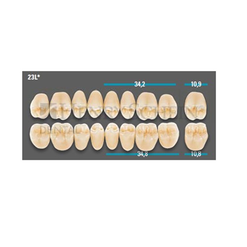 VITA Lingoform Lower Posterior Shade B2 Mould 23L Classical