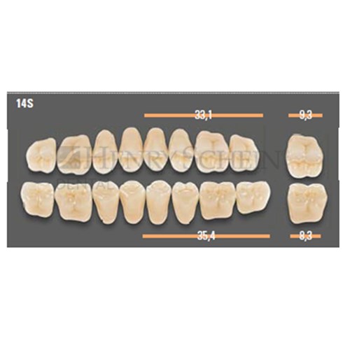 VITAPAN SYNOFORM POSTERIORS/8L