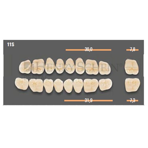 VITAPAN SYNOFORM POSTERIOR /8L