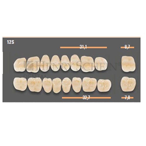 VITAPAN SYNOFORM POSTERIOR /8U