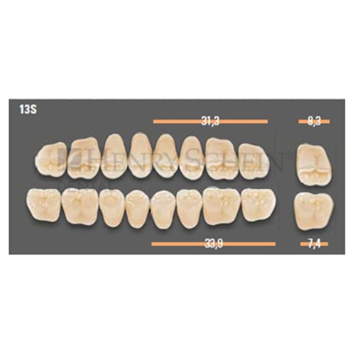 VITAPAN SYNOFORM POSTERIORS/8U