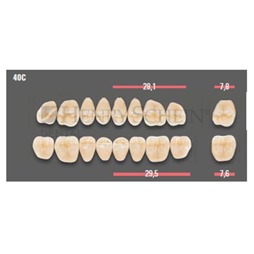VITAPAN CUSPIFORM POSTERIOR/8U