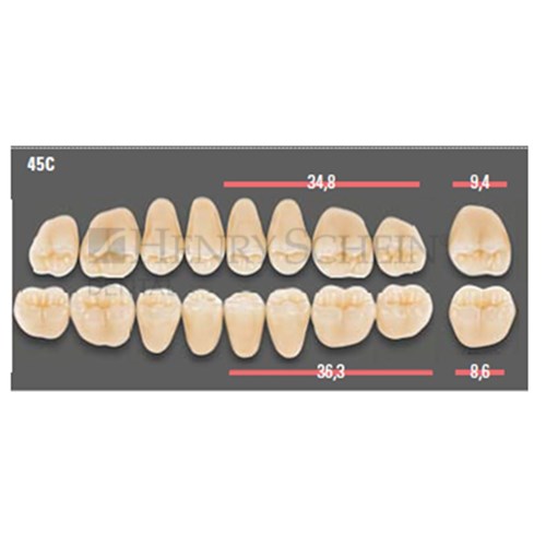 VITAPAN CUSPIFORM POSTERIOR/8U
