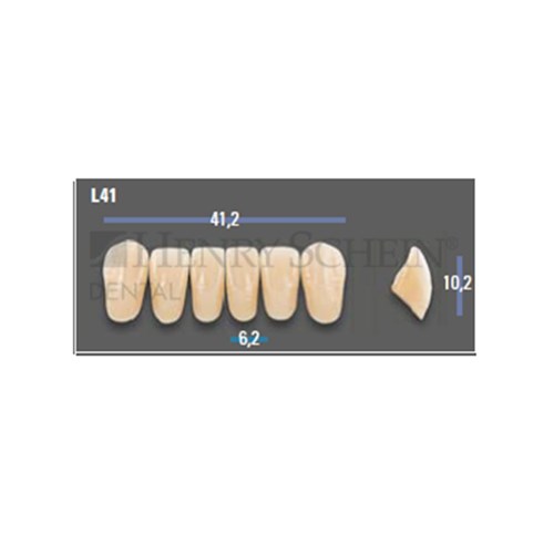 VITAPAN EXCELL Classical Lower Anterior Shade A1 Mould L41