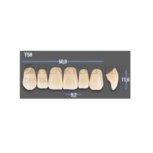 VITAPAN EXCELL Classical Upper Anterior Shade A1 Mould T50