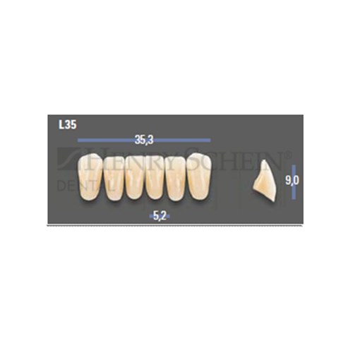 VITAPAN EXCELL Classical Lower Anterior Shade A2 Mould L35