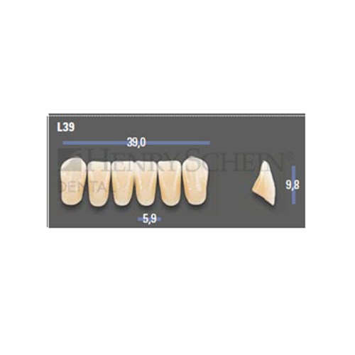 VITAPAN EXCELL Classical Lower Anterior Shade A2 Mould L39