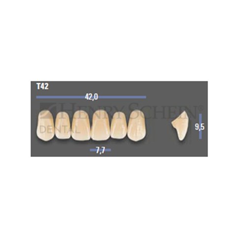 VITAPAN EXCELL Classical Upper Anterior Shade A2 Mould T42