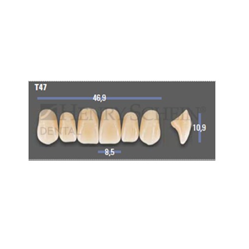 VITAPAN EXCELL Classical Upper Anterior Shade A3 Mould T47