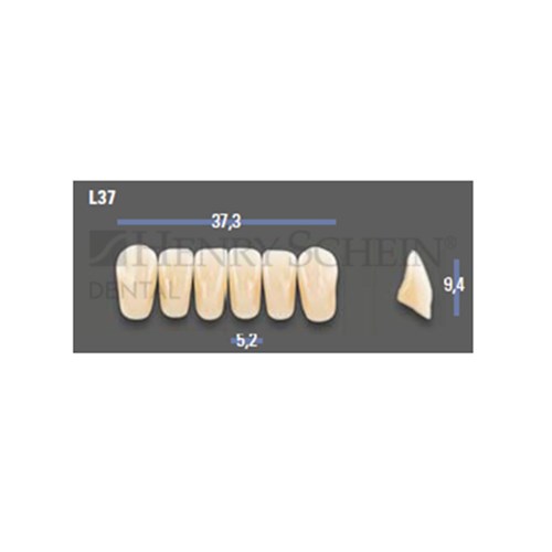 VITAPAN EXCELL Classical Lower Anterior Shade B2 Mould L37