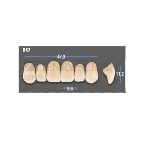 VITAPAN EXCELL Classical Upper Anterior Shade B2 Mould R47