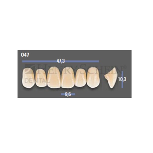 VITAPAN EXCELL Classical Upper Anterior Shade B3 Mould O47