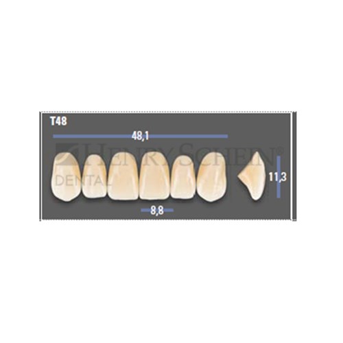 VITAPAN EXCELL Classical Upper Anterior Shade B3 Mould T48