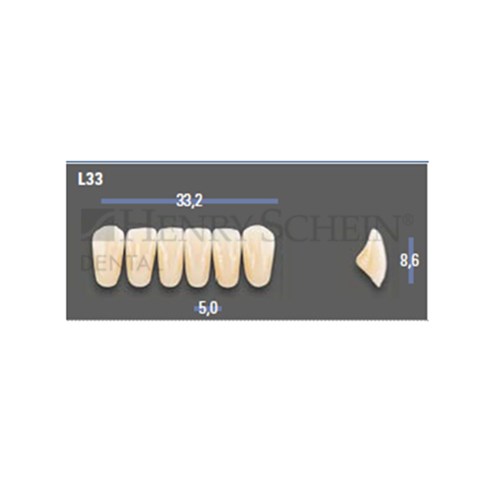 VITAPAN EXCELL Classical Lower Anterior Shade B4 Mould L33