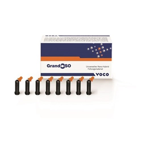 GRANDIO SO A2 Capsule 0.25g x 16